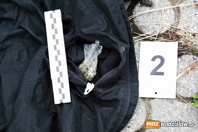 Zdjęcie w galerii na portalu naszwodzislaw.com: Kolejny nieodpowiedzialny kierowca w rękach policjant&oacute;w. W Samochodzie ujawniono dwa woreczki z suszem roślinnym wiadomości z regionu
