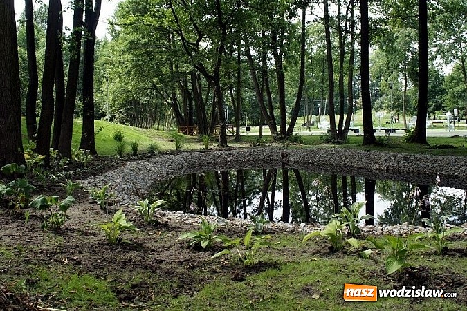 Zdjęcie w galerii na portalu naszwodzislaw.com: Park w Mszanie coraz piękniejszy - pracownicy urzędu gminy sadzili w nim krzewy i byliny  wiadomości z regionu