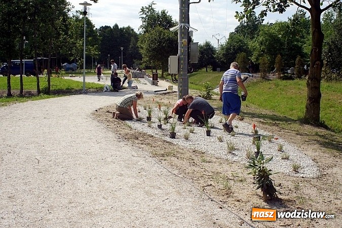 Zdjęcie w galerii na portalu naszwodzislaw.com: Park w Mszanie coraz piękniejszy - pracownicy urzędu gminy sadzili w nim krzewy i byliny  wiadomości z regionu