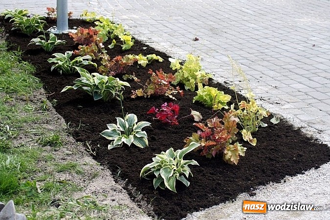 Zdjęcie w galerii na portalu naszwodzislaw.com: Park w Mszanie coraz piękniejszy - pracownicy urzędu gminy sadzili w nim krzewy i byliny  wiadomości z regionu