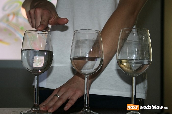 Zdjęcie w galerii na portalu naszwodzislaw.com: Młodzi naukowcy w Rydułtowach pokazali, że lato w mieście może być ciekawe  wiadomości z regionu