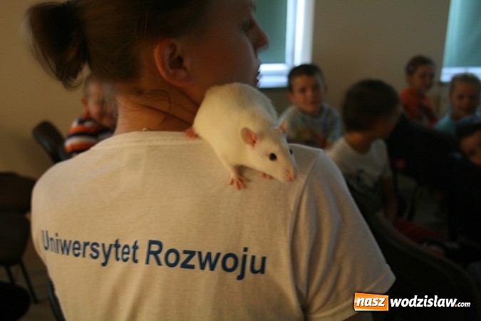 Zdjęcie w galerii na portalu naszwodzislaw.com: Młodzi naukowcy w Rydułtowach pokazali, że lato w mieście może być ciekawe  wiadomości z regionu