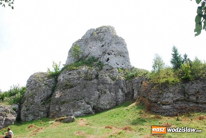 Zdjęcie w galerii na portalu naszwodzislaw.com: Zamek, pałac i gród czyli sobota z MOSiR wiadomości z regionu