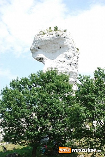 Zdjęcie w galerii na portalu naszwodzislaw.com: Zamek, pałac i gród czyli sobota z MOSiR wiadomości z regionu