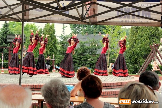 Zdjęcie w galerii na portalu naszwodzislaw.com:  