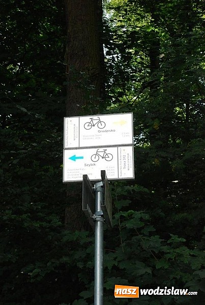 Zdjęcie w galerii na portalu naszwodzislaw.com: Zakończono znakowanie tras rowerowych w Wodzisławiu  wiadomości z regionu