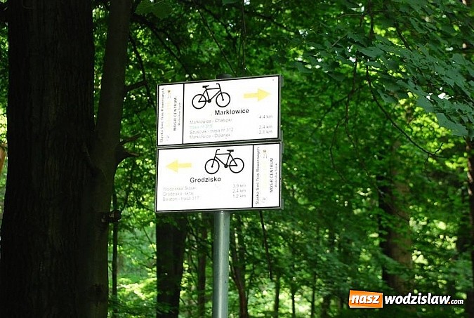 Zdjęcie w galerii na portalu naszwodzislaw.com: Zakończono znakowanie tras rowerowych w Wodzisławiu  wiadomości z regionu