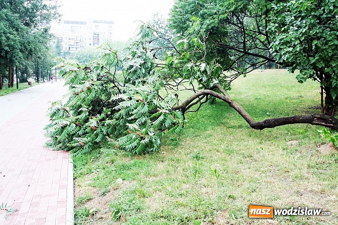 Zdjęcie w galerii na portalu naszwodzislaw.com: Nawałnica zerwała dach jednej z rydułtowskich kamienic! wiadomości z regionu