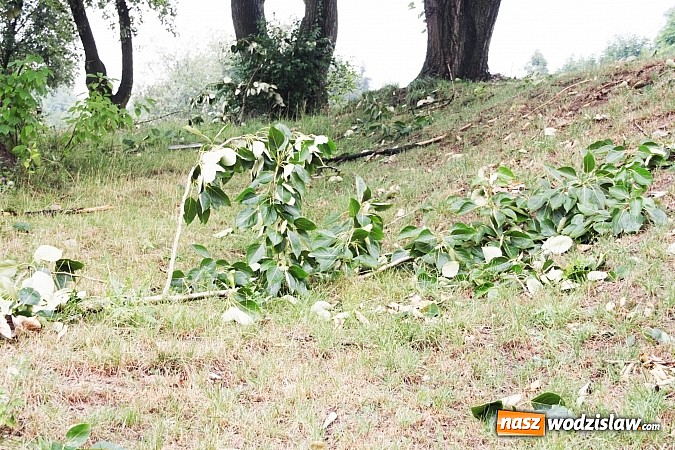 Zdjęcie w galerii na portalu naszwodzislaw.com: Nawałnica zerwała dach jednej z rydułtowskich kamienic! wiadomości z regionu