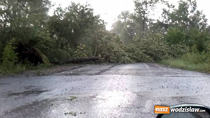 Zdjęcie w galerii na portalu naszwodzislaw.com: Nawałnica zerwała dach jednej z rydułtowskich kamienic! wiadomości z regionu
