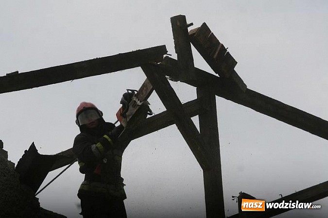 Zdjęcie w galerii na portalu naszwodzislaw.com: Strażacy podsumowali skutki sobotniej wichury. Łącznie interweniowali 161 razy  wiadomości z regionu