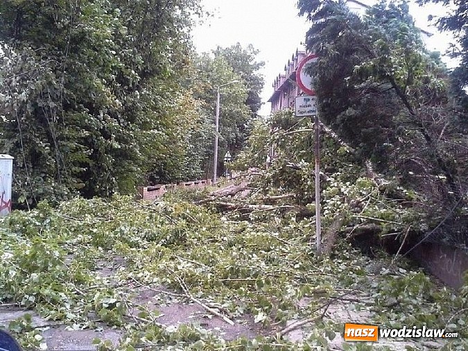 Zdjęcie w galerii na portalu naszwodzislaw.com: Strażacy podsumowali skutki sobotniej wichury. Łącznie interweniowali 161 razy  wiadomości z regionu