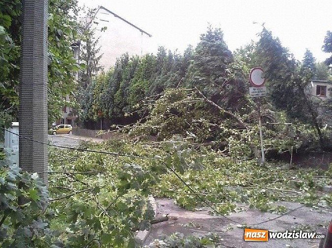 Zdjęcie w galerii na portalu naszwodzislaw.com: Strażacy podsumowali skutki sobotniej wichury. Łącznie interweniowali 161 razy  wiadomości z regionu