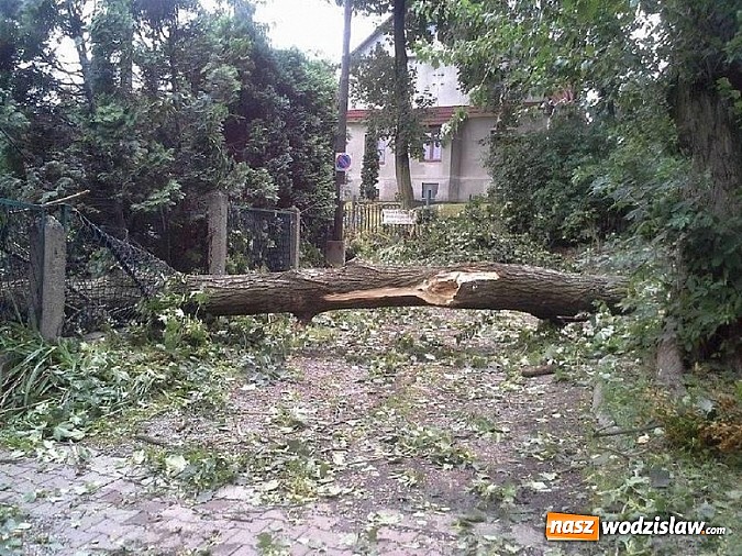 Zdjęcie w galerii na portalu naszwodzislaw.com: Strażacy podsumowali skutki sobotniej wichury. Łącznie interweniowali 161 razy  wiadomości z regionu