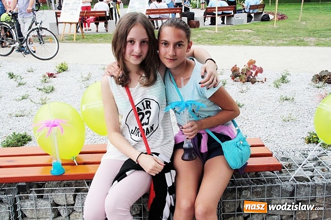 Zdjęcie w galerii na portalu naszwodzislaw.com: Park Aktywnej Rekreacji w Mszanie już otwarty! wiadomości z regionu