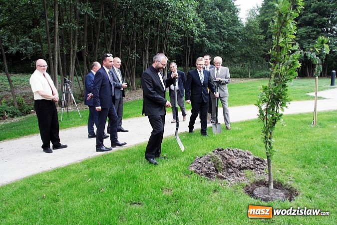 Zdjęcie w galerii na portalu naszwodzislaw.com: Park Aktywnej Rekreacji w Mszanie już otwarty! wiadomości z regionu