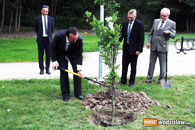 Zdjęcie w galerii na portalu naszwodzislaw.com: Park Aktywnej Rekreacji w Mszanie już otwarty! wiadomości z regionu