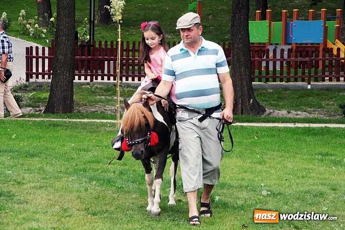 Zdjęcie w galerii na portalu naszwodzislaw.com: Park Aktywnej Rekreacji w Mszanie już otwarty! wiadomości z regionu