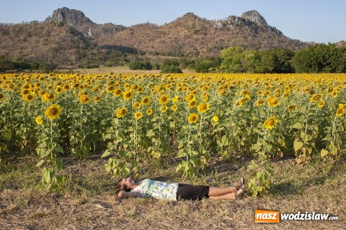 Zdjęcie w galerii na portalu naszwodzislaw.com: Karolina Jonderko - młoda mieszkanka Rydułtów podbija świat fotografii wiadomości z regionu
