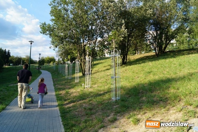 Zdjęcie w galerii na portalu naszwodzislaw.com: Przy drzewkach znajdujących się na Alei Wodzisławskich Dzieciaków umieszczono tabliczki z nazwami    wiadomości z regionu