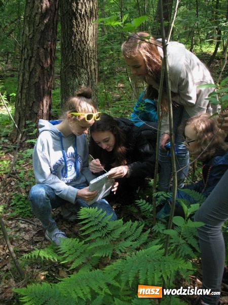 Zdjęcie w galerii na portalu naszwodzislaw.com: Wakacyjne warsztaty ekologiczno-przyrodnicze wiadomości z regionu