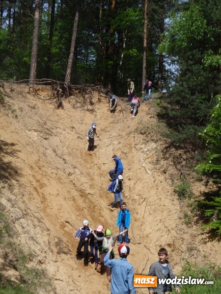 Zdjęcie w galerii na portalu naszwodzislaw.com: Wakacyjne warsztaty ekologiczno-przyrodnicze wiadomości z regionu