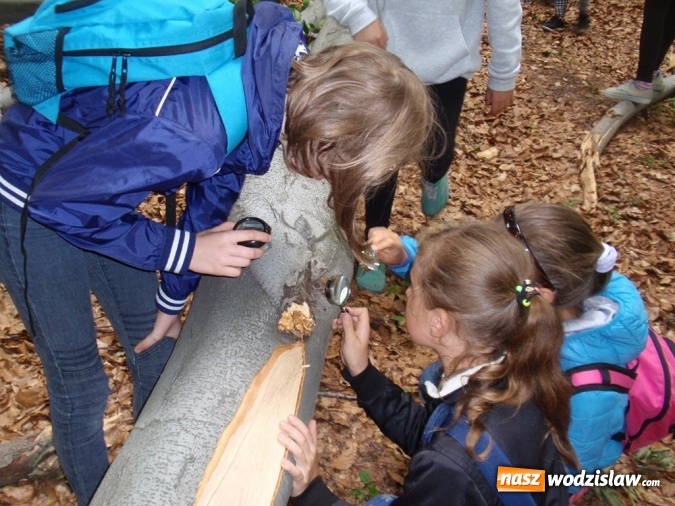 Zdjęcie w galerii na portalu naszwodzislaw.com: Wakacyjne warsztaty ekologiczno-przyrodnicze wiadomości z regionu
