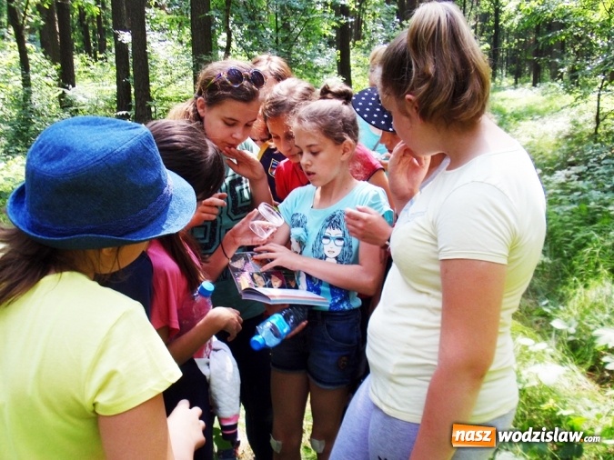 Zdjęcie w galerii na portalu naszwodzislaw.com: Wakacyjne warsztaty ekologiczno-przyrodnicze wiadomości z regionu