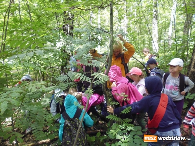 Zdjęcie w galerii na portalu naszwodzislaw.com: Wakacyjne warsztaty ekologiczno-przyrodnicze wiadomości z regionu