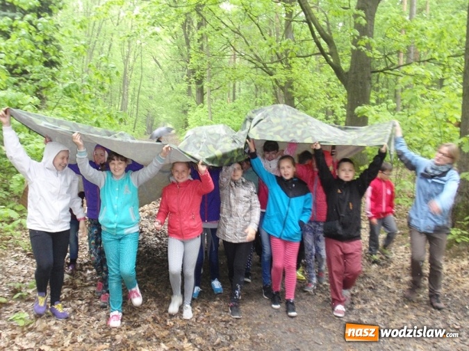 Zdjęcie w galerii na portalu naszwodzislaw.com: Wakacyjne warsztaty ekologiczno-przyrodnicze wiadomości z regionu