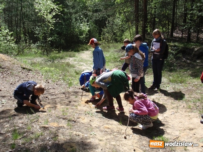 Zdjęcie w galerii na portalu naszwodzislaw.com: Wakacyjne warsztaty ekologiczno-przyrodnicze wiadomości z regionu