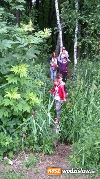 Zdjęcie w galerii na portalu naszwodzislaw.com: Wakacyjne warsztaty ekologiczno-przyrodnicze wiadomości z regionu