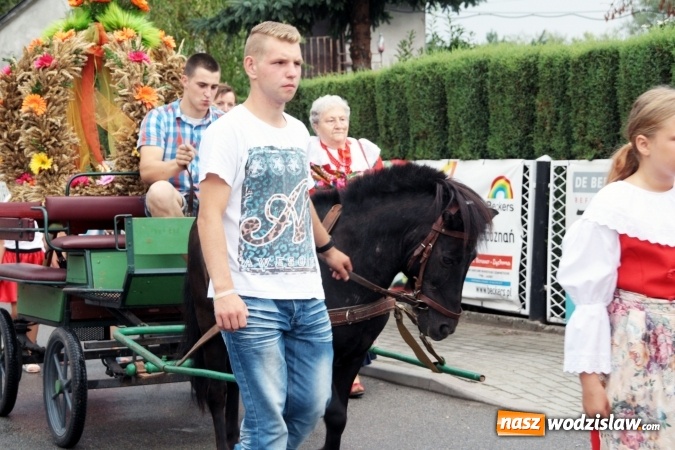 Zdjęcie w galerii na portalu naszwodzislaw.com: Dożynki rozpocząć czas! W Olzie podziękowali za plony wiadomości z regionu