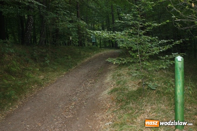 Zdjęcie w galerii na portalu naszwodzislaw.com: Nad Balatonem powstała Trasa Zdrowia  wiadomości z regionu