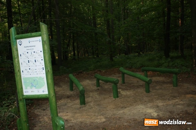 Zdjęcie w galerii na portalu naszwodzislaw.com: Nad Balatonem powstała Trasa Zdrowia  wiadomości z regionu