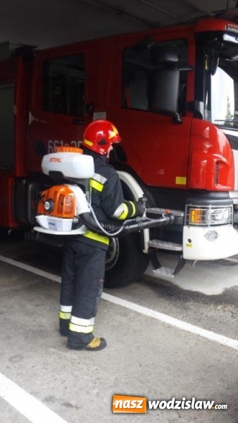 Zdjęcie w galerii na portalu naszwodzislaw.com: Wodzisławskie starostwo kupiło dwa defibrylatory  wiadomości z regionu