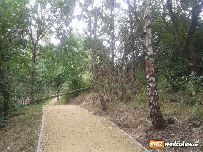Zdjęcie w galerii na portalu naszwodzislaw.com: List do redakcji: Nikt nie zainteresował się usunięciem zagrożenia na terenie Rodzinnego Parku Rozrywki! wiadomości z regionu