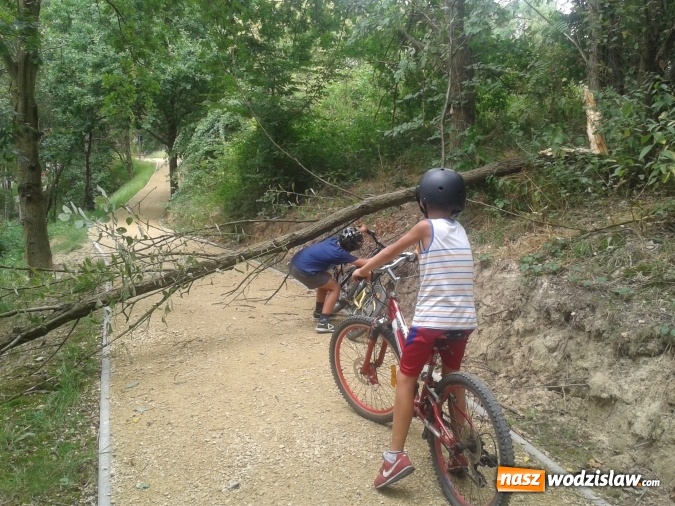 Zdjęcie w galerii na portalu naszwodzislaw.com: List do redakcji: Nikt nie zainteresował się usunięciem zagrożenia na terenie Rodzinnego Parku Rozrywki! wiadomości z regionu