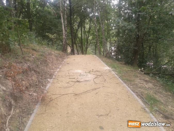 Zdjęcie w galerii na portalu naszwodzislaw.com: List do redakcji: Nikt nie zainteresował się usunięciem zagrożenia na terenie Rodzinnego Parku Rozrywki! wiadomości z regionu