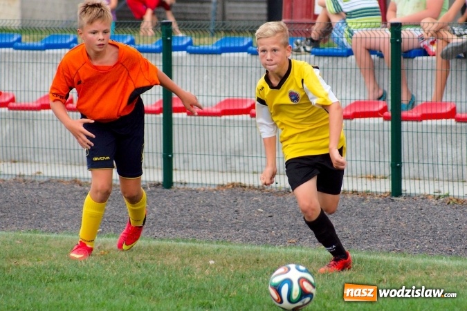 Zdjęcie w galerii na portalu naszwodzislaw.com: Młodziki Rogowa na tarczy w Tworkowie wiadomości z regionu