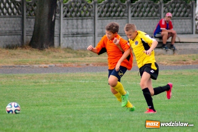 Zdjęcie w galerii na portalu naszwodzislaw.com: Młodziki Rogowa na tarczy w Tworkowie wiadomości z regionu