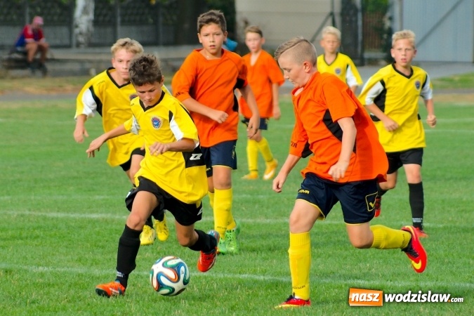 Zdjęcie w galerii na portalu naszwodzislaw.com: Młodziki Rogowa na tarczy w Tworkowie wiadomości z regionu