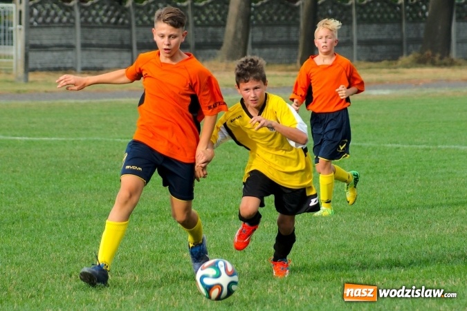 Zdjęcie w galerii na portalu naszwodzislaw.com: Młodziki Rogowa na tarczy w Tworkowie wiadomości z regionu