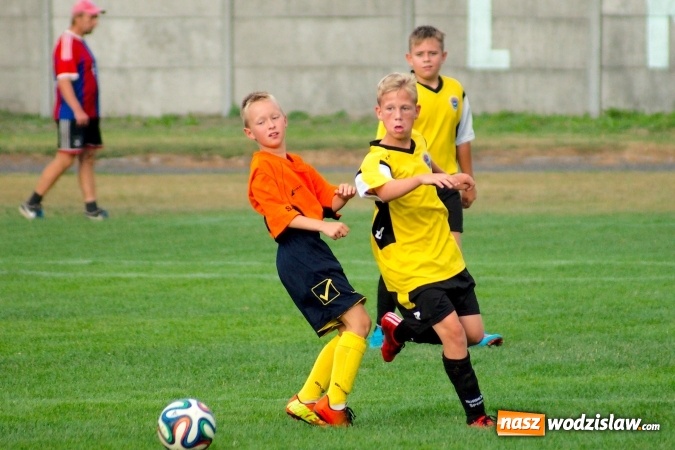 Zdjęcie w galerii na portalu naszwodzislaw.com: Młodziki Rogowa na tarczy w Tworkowie wiadomości z regionu