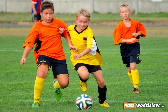 Zdjęcie w galerii na portalu naszwodzislaw.com: Młodziki Rogowa na tarczy w Tworkowie wiadomości z regionu