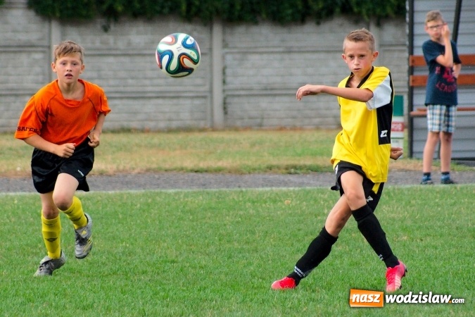 Zdjęcie w galerii na portalu naszwodzislaw.com: Młodziki Rogowa na tarczy w Tworkowie wiadomości z regionu