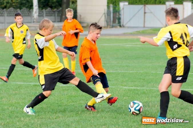 Zdjęcie w galerii na portalu naszwodzislaw.com: Młodziki Rogowa na tarczy w Tworkowie wiadomości z regionu