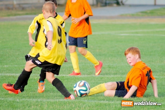 Zdjęcie w galerii na portalu naszwodzislaw.com: Młodziki Rogowa na tarczy w Tworkowie wiadomości z regionu