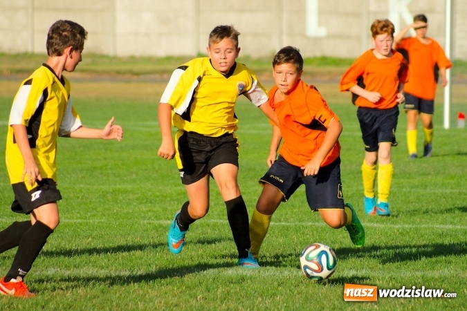 Zdjęcie w galerii na portalu naszwodzislaw.com: Młodziki Rogowa na tarczy w Tworkowie wiadomości z regionu