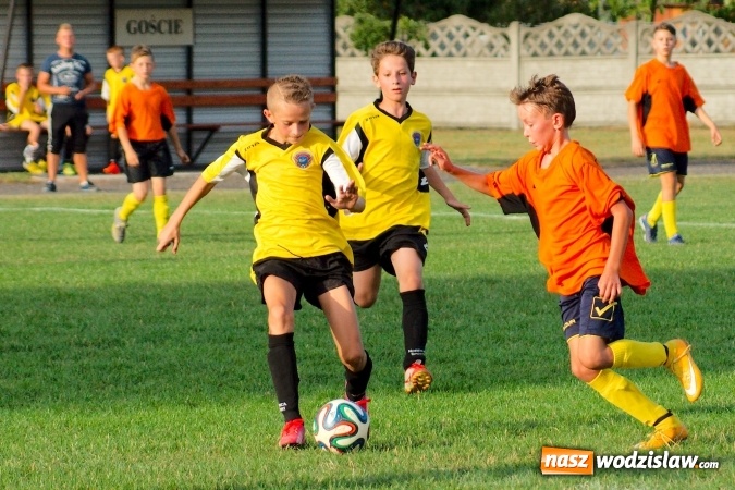 Zdjęcie w galerii na portalu naszwodzislaw.com: Młodziki Rogowa na tarczy w Tworkowie wiadomości z regionu